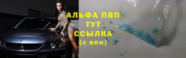 твердый Абаза